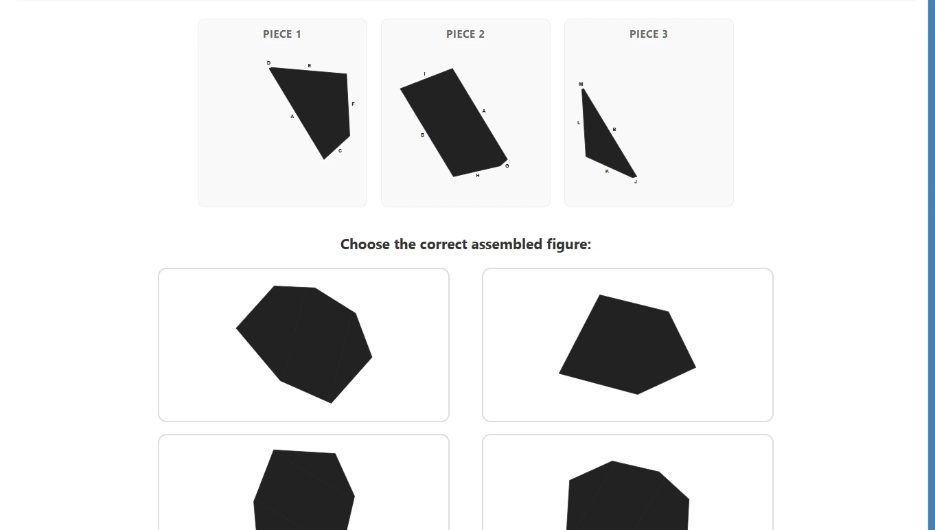 Shape Assembly test preview